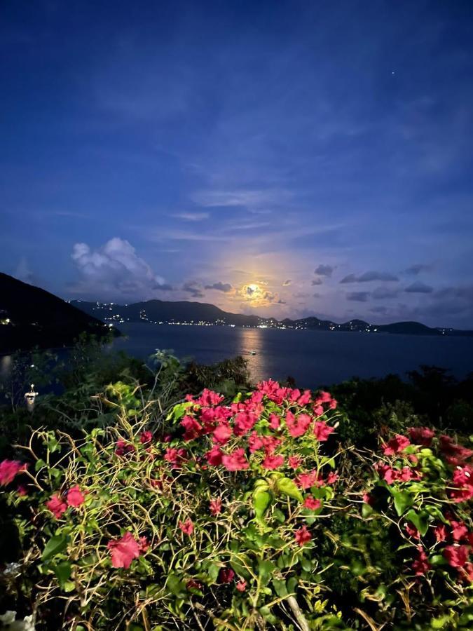 Ocean View Villas Jost Van Dyke 外观 照片