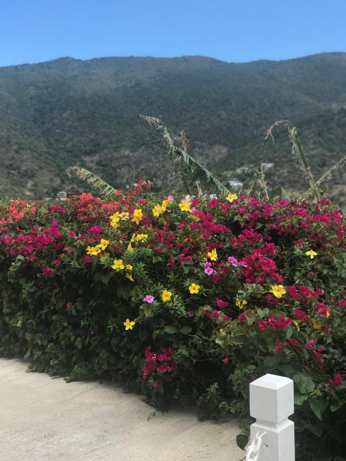 Ocean View Villas Jost Van Dyke 外观 照片
